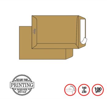 Pigna Env Brown 16x23cm 100g Peel Seal MULTIMAIL (x500env)