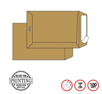 Pigna Env Brown 23x33cm 100g Peel Seal MULTIMAIL (x500env)