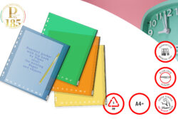 Pigna Punched Pkt A4+ PP with Zip Lock, Ass col MONO 0227921